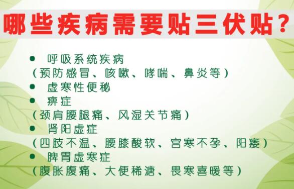 2、什么是三伏貼？三伏貼的作用？