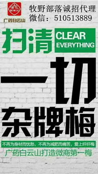 如何成為纖纖梅代理，結合國內旅游服務開拓業務